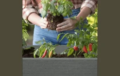 Sale Darwin 29 Gallon Elevated Garden Bed - Graphite Garden Beds