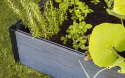 Best Maple Raised Garden Bed - Graphite Garden Beds