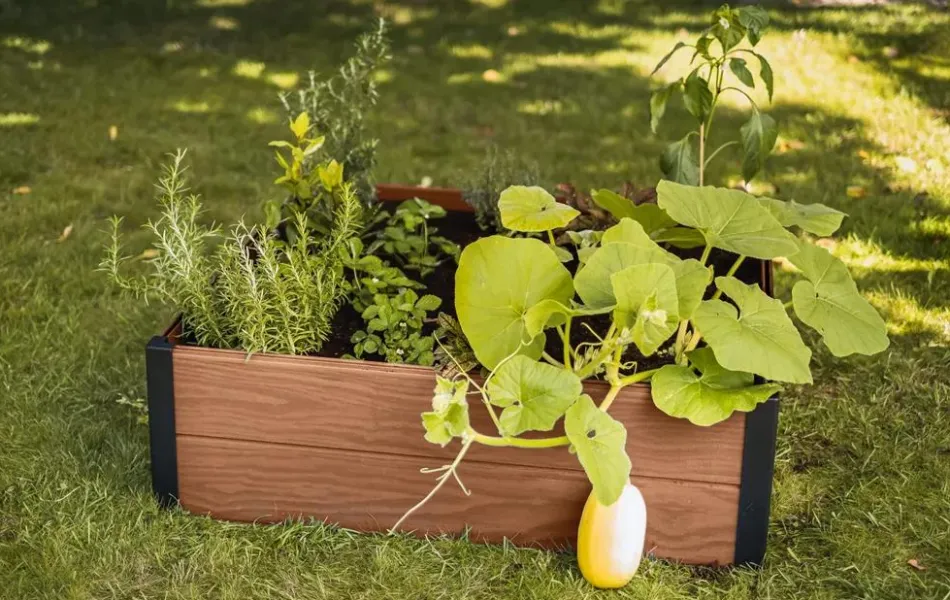 Discount Maple Raised Garden Bed - Brown Garden Beds